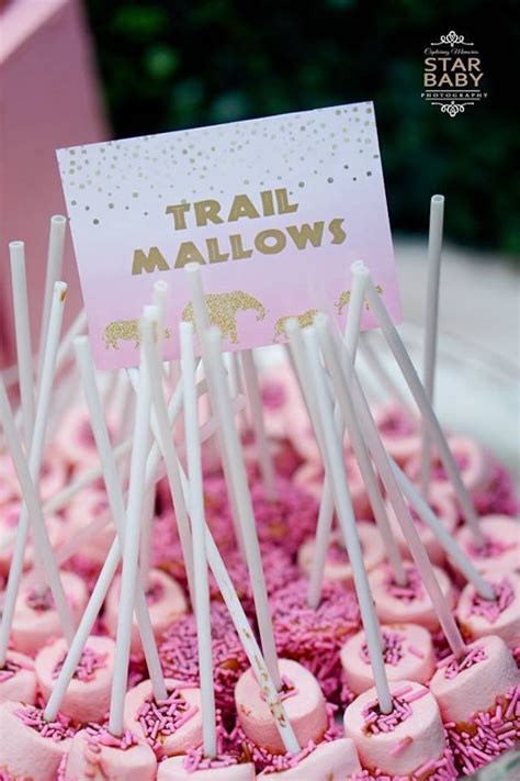 Kara's Party Ideas Girly Safari Party | Kara's Party Ideas