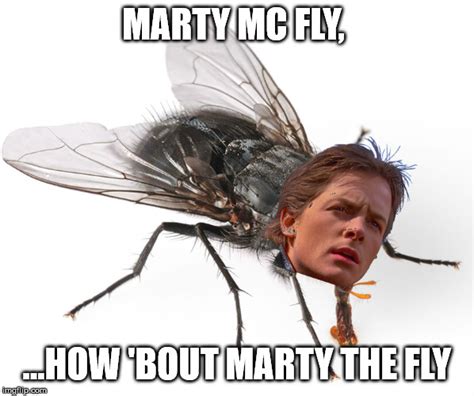 Marty The Fly Imgflip