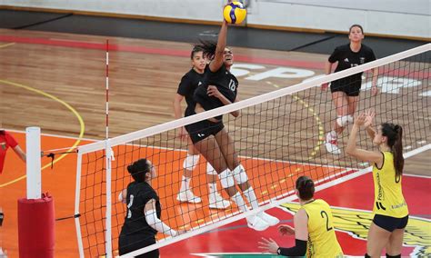 Links to sl benfica vs. Benfica Famalicão Voleibol Feminino Campeonato - SL Benfica