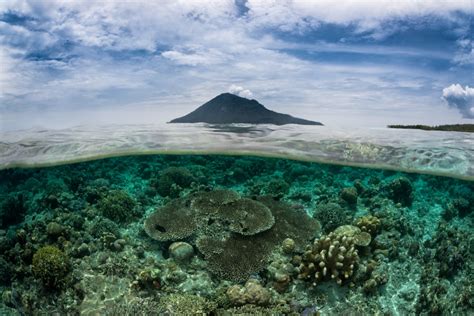 Pulau Manado Tua Spot Wisata Baru Di Bunaken Yang Memukau Mata My Xxx