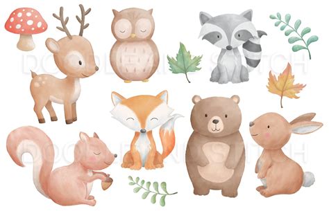 Woodland Animal Watercolor Designs Forest Animals Illustration