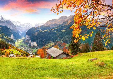 Scenic Autumn View Of Picturesque Alpine Wengen Village And