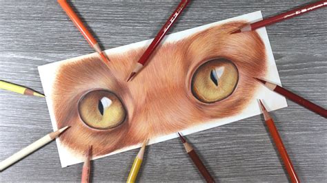 How To Draw Cat Eyes In Coloured Pencils And Solvent Step By Step