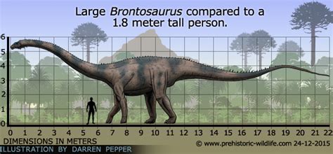 Dobrovolnická akce, jejímž cílem je úklid černých skládek a prevence jejich vzniku. Brontosaurus by Prehistoric Wildlife
