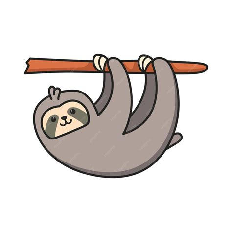 Premium Vector Cute Sloth Illustration