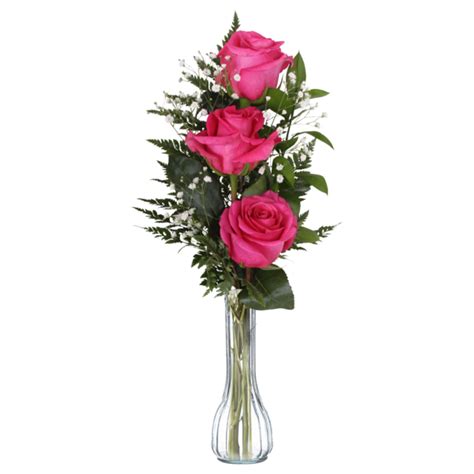 Save On Roses Pink Long Stem In Vase Order Online Delivery Stop And Shop