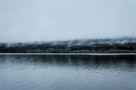 배경 화면 숲 호수 물 자연 반사 눈 겨울 얼음 아침 안개 강 습지 구름 날씨 저수지 대기 현상