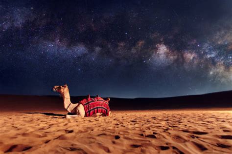 Arabian Desert Night Stock Photos Pictures And Royalty Free Images Istock