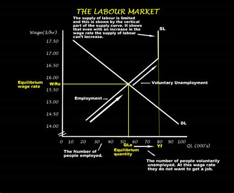 Labour Market Equilibrium