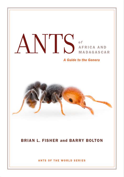 Communication In Ants Pdf