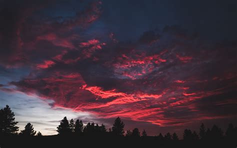 Download 2560x1600 Wallpaper Colorful Clouds Sunset Dark Tree Dual
