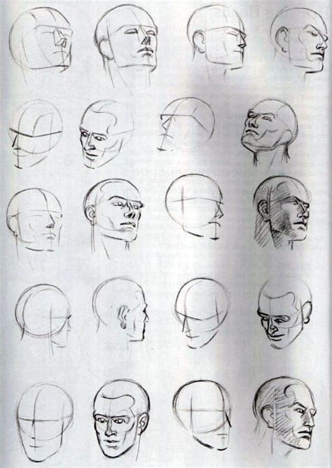 Как нарисовать голову человека Пропорции головы и лица в 2021 г