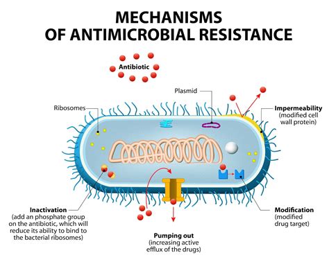Our 21st Century Apocalyse The Rise Of Antimicrobial Resistance