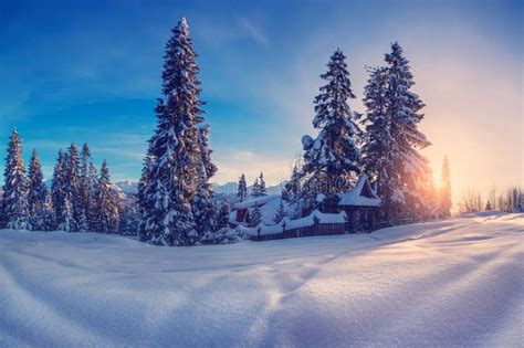 Winter Landscape Sunrise In Winter Mountains Stock Image Image Of