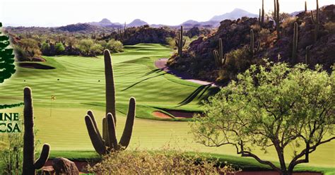 Six cadava berries are required to protect it from disease. ERS ~ Tatum Ranch Golf Club ~ Assistant Golf Course ...