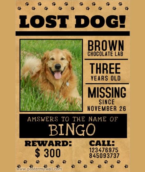 Mention all the details about your pet like. Missing Pet Poster Templates | 13+ Free Printable Word & PDF
