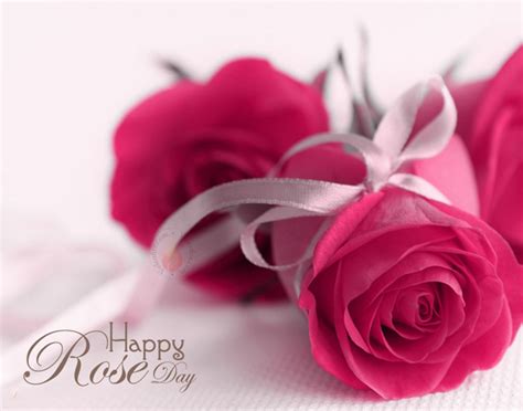 Rose day is the perfect day to express your feelings and love for your valentine. {7th Feb 2020}* Rose Day Images, GIF, HD Pics, 3D Photos ...