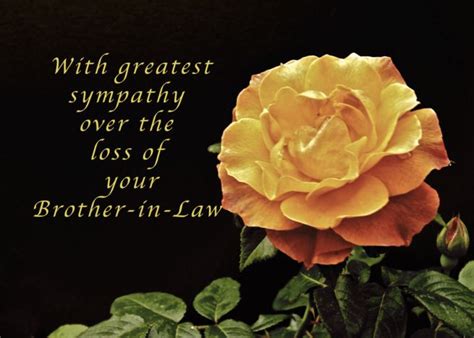 What to write on a funeral flower card? Sorry, for the Loss of Your Brother-in-Law, yellow orange ...