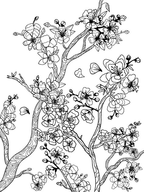 Cherry Blossom Coloring Pages Free Printable