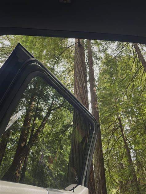 The Back Window Of A Vehicle With Trees In The Background