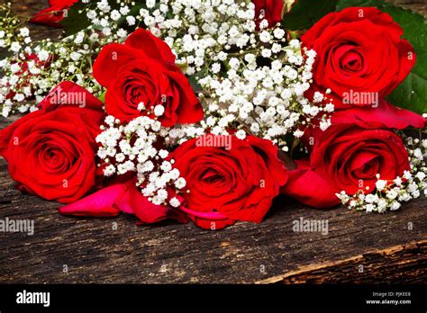 Red Roses With Gypsophila On Wood Stock Photo Alamy