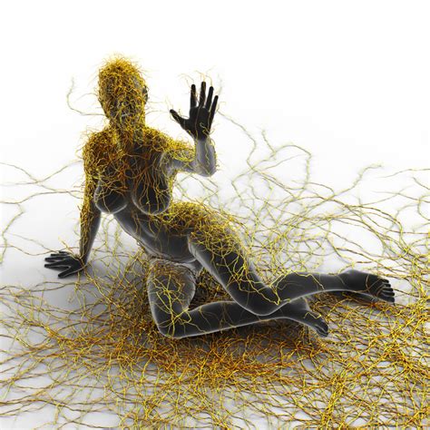 Multiple sklerose wird auch das chamäleon der neurologie genannt. Multiple Sklerose - Eine meistens missverstandene ...