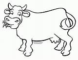 Coloring Herd Cows Cow Popular sketch template