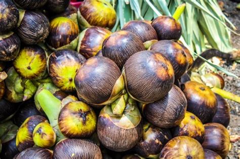 Palm Fruit पाम नट In Kanyakumari Sun Trading Imports And Exports Id