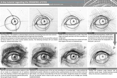 Drawing Eyes Values And Shading By Greyfin On Deviantart Eye