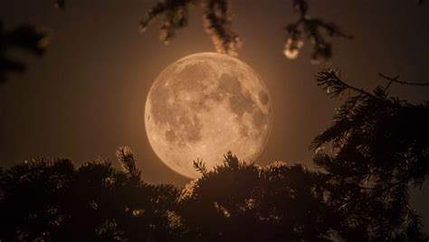 16 Fotos Espetaculares Da Maior E Mais Bonita Lua Do Ano