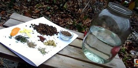 Gin selbst machen Anleitung Rezepte für angesetzten Gin auf