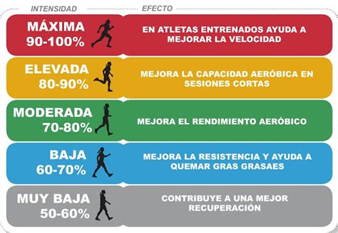 Actividad Fisica Y Ejercicio Entrenamiento Cardiovascular