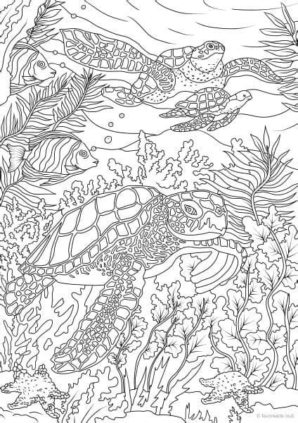 Ocean Life Turtles Coloring Page Turtle Coloring Pages Ocean