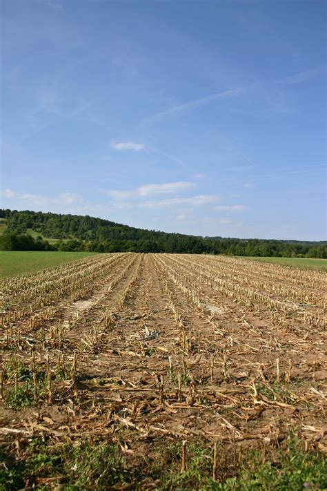 Jagung Ladang Memanen Foto Gratis Di Pixabay Pixabay