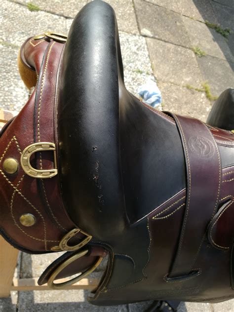 Australian horse saddles for sale or australian stock saddles are designed for comfort during long hours in the saddle. Australian stock saddle | Bokt.nl