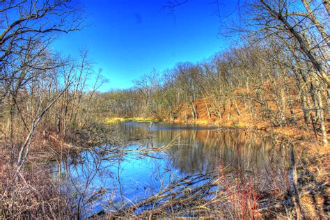 Long view of the swamp at Kettle Moraine South, Wisconsin image - Free stock photo - Public ...