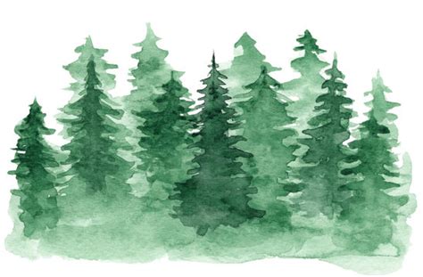 Evergreen Trees Painting