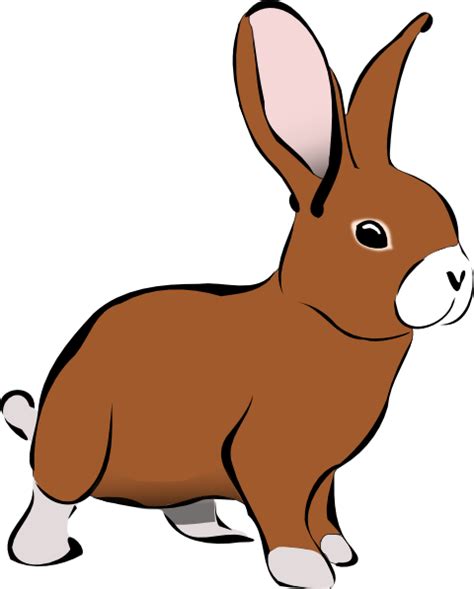 Brown Bunny Rabbit Clip Art At Clker Com Vector Clip Art Online