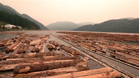 Cites export permit for ramin and agarwood will be approved and issued by mtib by submitting all required documents including removal pass. SAN GROUP CANADA: HAS HAD ITS ROOTS IN THE LUMBER INDUSTRY ...
