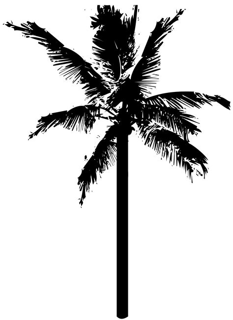 Coconut Tree Silhouette Png Png All Png All