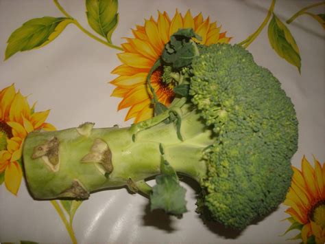 É stato un weekend altalenante quello appena passato, venerdì infatti. Vellutata di Cavolo Nero e Broccoli :: La Mia Cucina