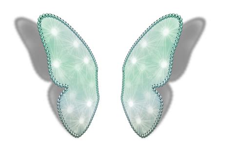 Transparent Background Fairy Wings Png Download This Graphic Design