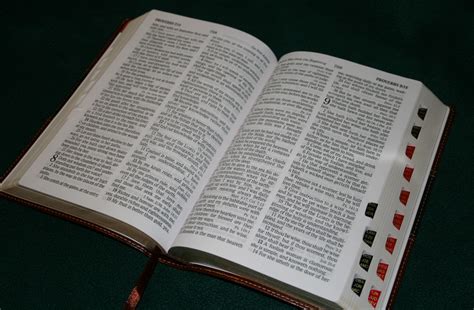 Favorite Bibles - Reading Bibles