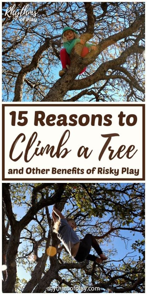 Tree Climbing Tips Techniques And Benefits For Kids And Adults