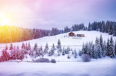 Christmas Winter Landscape Stock Image Image Of Carpathians 103771401