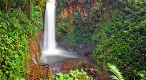 Parque Ecológico Privado Las Cataratas De La Paz Costa Rica