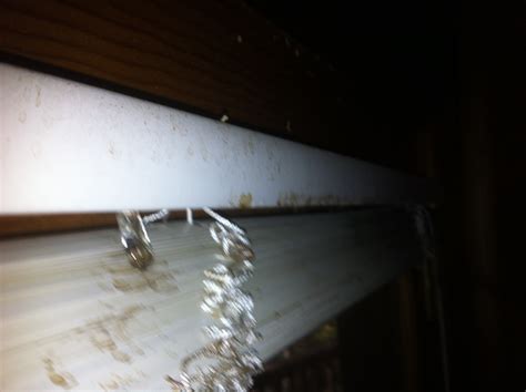 Vacation rentals in blue ridge, ga. Mountain Laurel Cabin Rentals 1844 Old Highway 76, Blue ...