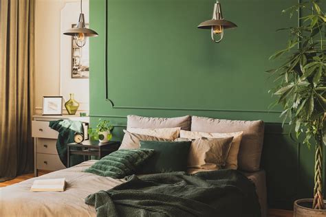 What Color Curtains Go With Green Walls Including 15 Examples