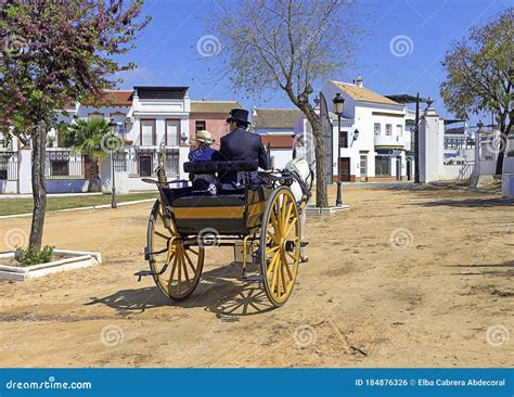 Carruagem De Duas Rodas Puxada Por Animal
