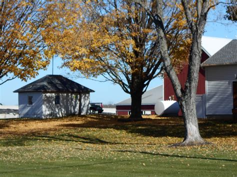 Welcome at camel dairy farm smits the only camel dairy farm in europe! New York State of Mind: LARGEST DAIRY FARM I EVER SAW